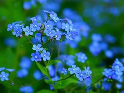 Love In Living Loss - Grieving With Dementia