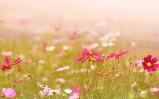 Love Is All That Is Meditation