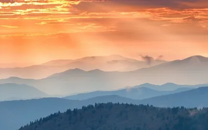 Love Is Care, Care Is Love