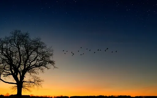 Love Is Here (Guitar)