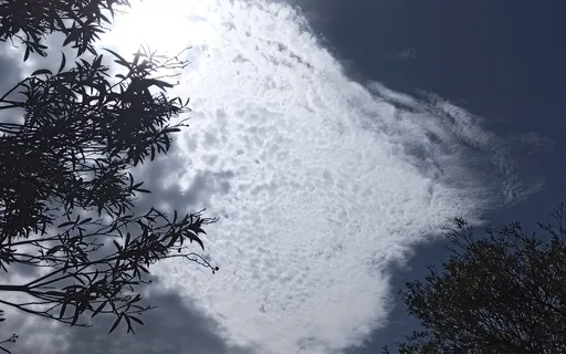 Love Is In The Air - Poem