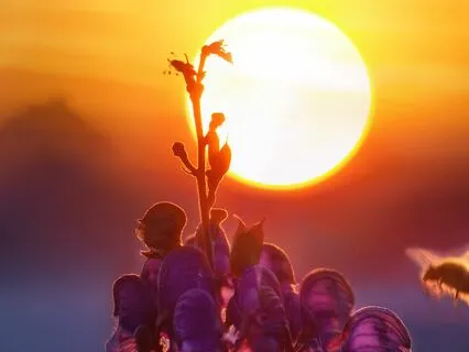 Love Is Like The Universe - A Love Song From Your Angel