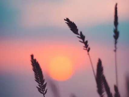 Love Is - Poem