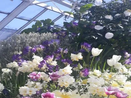 Love Is The Answer - Binge Eating Recovery