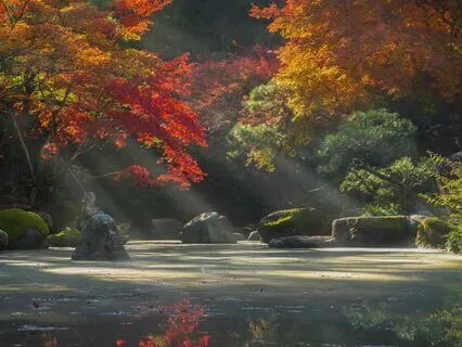 Love Is The Only Natural Resource in Infinite Supply