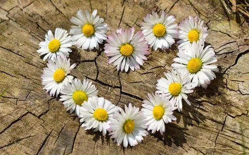 Love Is The Strongest Energy Out There!