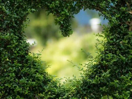 Love It All Meditation: Profoundly Deepen Unconditional Love