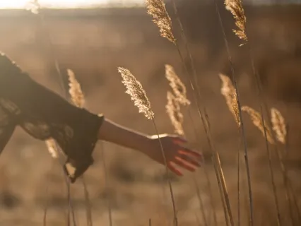 Love Kindness & Compassion Meditation