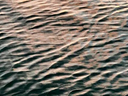 Cultivate Love & Kindness