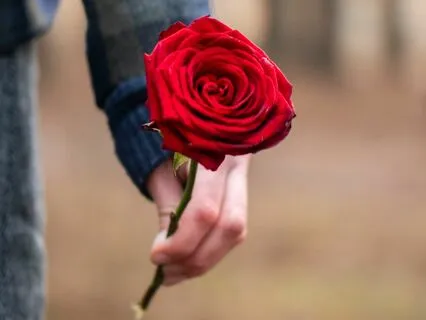 Love Letter - Love In The Morning With You