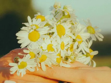 Love Letter - Spoken Stillness