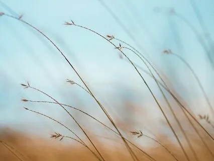 Love Letter (Unopened)