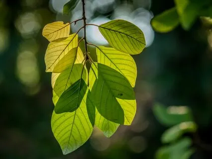 Love Letters From The Sky