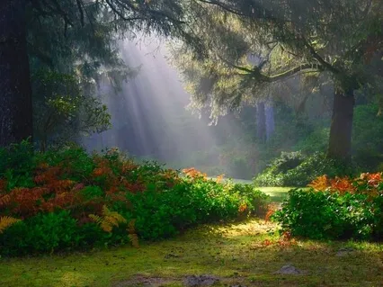 Deeply Healing Music