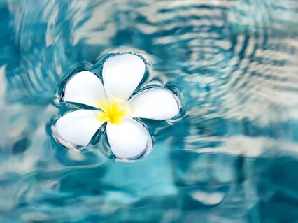 Love Practice & Poem