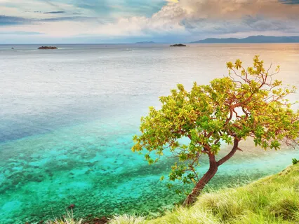 Love Meditation (Short)