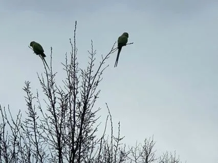 Using Love As Source Of Energy And Relaxation