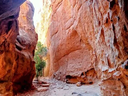 A Love Note (From The Mountains Of South Africa)