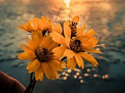 Love On The Earth Meditation - Earthly Ethos