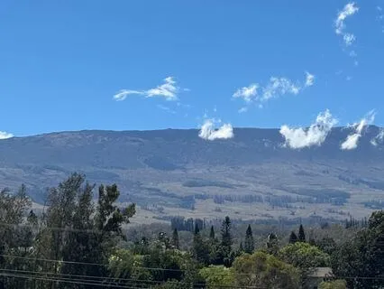 Love Opens The Door To True Peace