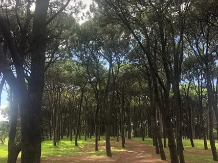 Love our fears and grow