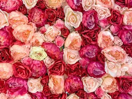 Love Quotes To Live By - Soothing