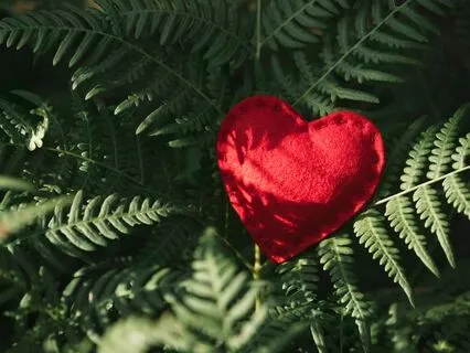 Love's Embrace: Relieve Stress Together