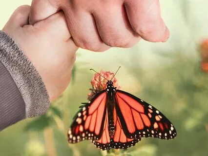 Love Songs For My Children