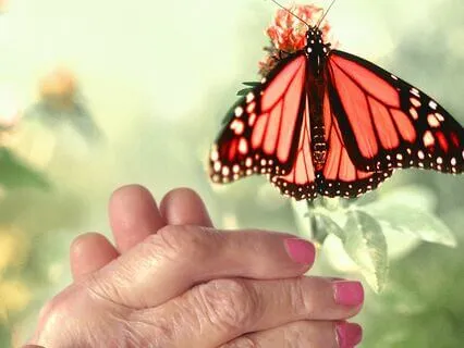 Love Songs For My Parents