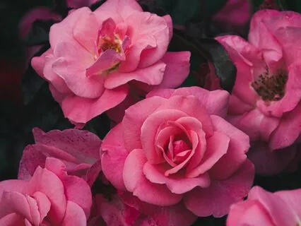 Love Spell Sound Bath