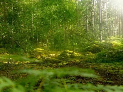 Love The Pursuit Of Wealth