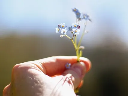 Embrace The Small You