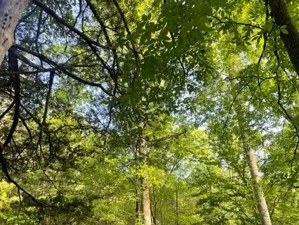 Love To The Universe Meditation