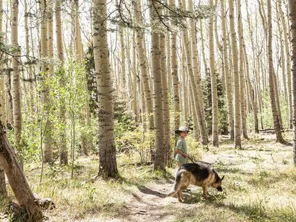 Love Tranquility: Calm Your Heart And Mind