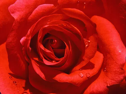 Love Truly Is All Around Us All The Time!