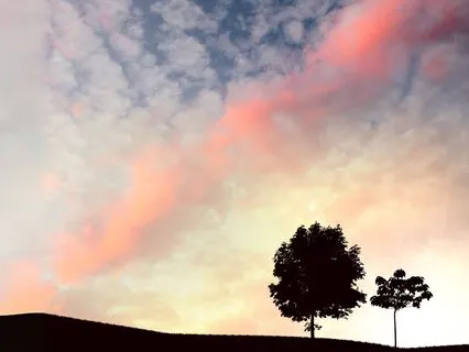 Love, Visualize, Receive: Awaken Your Creative Power