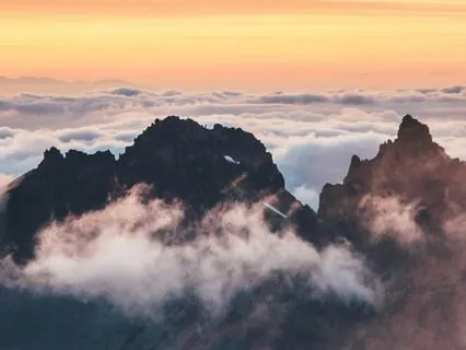 Love Without Defence