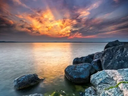 Love Your Cells Guided Visualization