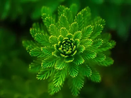 Love Your Life By Releasing Judgment Guided Meditation | Learn To Let Go Of Your Judgments | Live Meditation