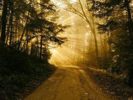 Feel Peaceful By Embracing Amor Fati