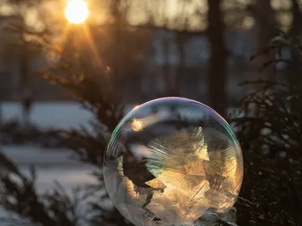 Love Your Whole Body