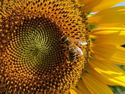 Love Yourself Day After A Big Win