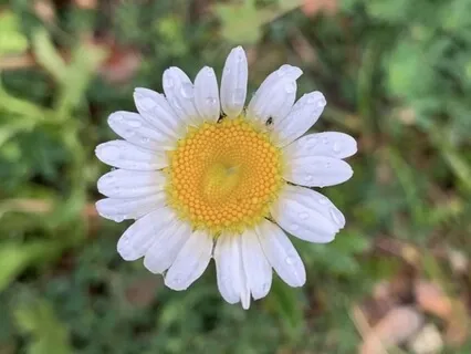 Love Yourself Meditation