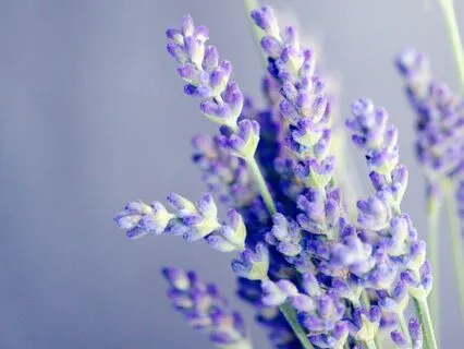 Love Yourself Meditation