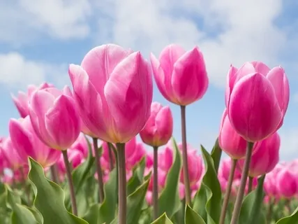 Love Yourself More Each Day And Enhance Your Relationships