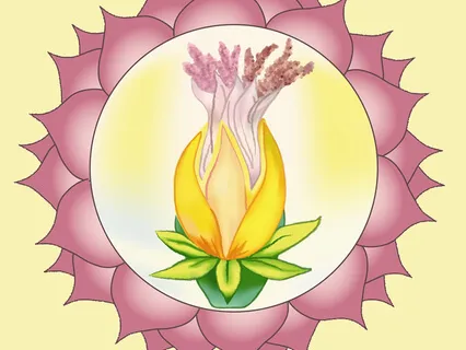 Love Yourself Unconditionally: Seventh Chakra