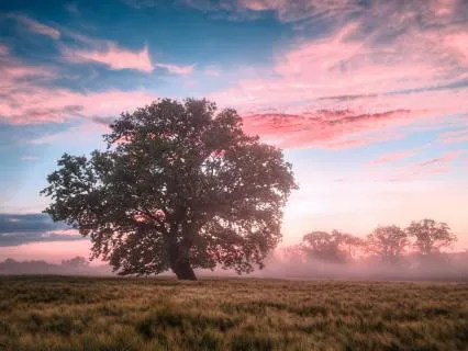 Love Yourself Whilst Fixing Yourself