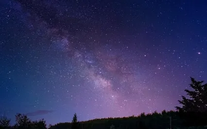 Lovely Relaxation Music