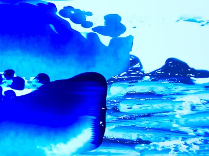 Lover Like The Coastline