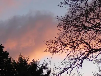 Loving Acceptance - Daily Emotional Healing Practice